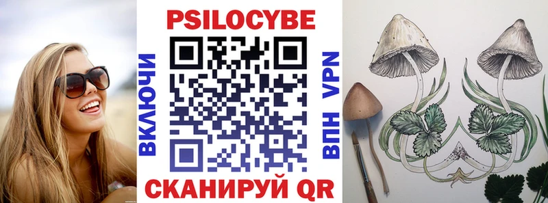 omg зеркало  Нестеровская  Галлюциногенные грибы Magic Shrooms 